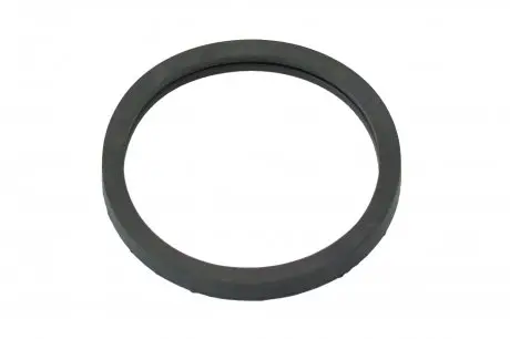 Прокладка термостата General Motors 94580530