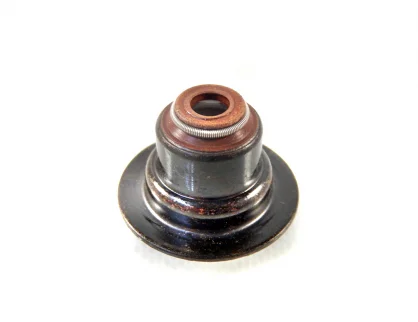 Сальник клапана 1.4 F14D3,1.6 F16D3,1.6i A16DMS CHEVROLET Aveo 03-11,Cruze 09-15 General Motors 96840122