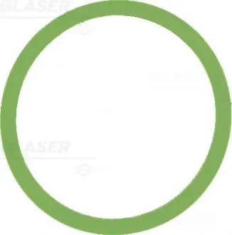 Прокладка впускного коллектора GLASER X5987601