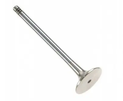 Впускний клапан General Motors 55570170