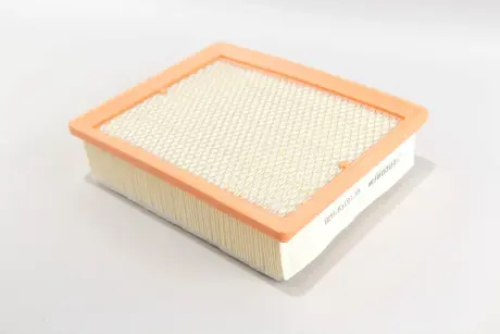 Фильтр воздушный Trafic/Vivaro 1.6dCi 14- (с сеткой и предфильтром) GOODREM RF1870FSWB