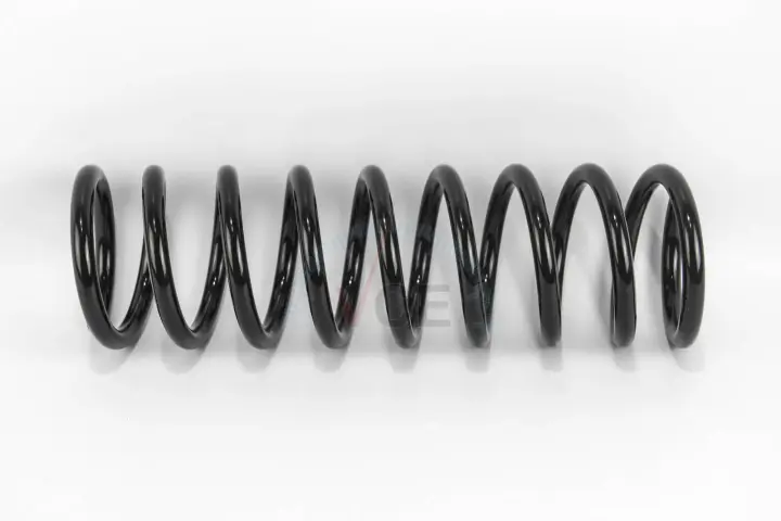 Пружина задня BMW 7 (e38) 2.5-5.0 94-01 GOODREM RP1144 (фото 1)