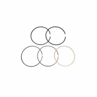 Комплект поршневых колец HASTINGS PISTON RING 2C4639S (фото 1)