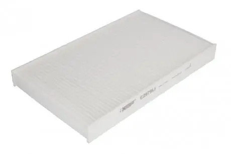 Фильтр, воздух во внутреннем пространстве HENGST FILTER E2979LI