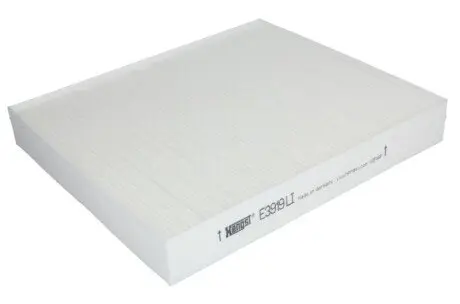 Фильтр, воздух во внутреннем пространстве HENGST FILTER E3919LI