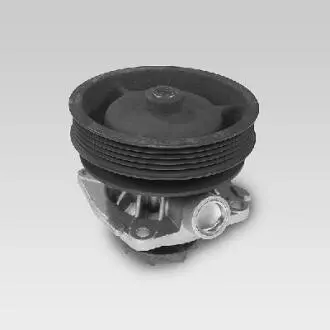 Насос воды HEPU P122