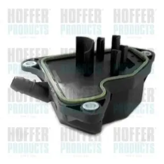 Фильтр очистки картерных газов Hoffer 8091630
