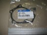 Прокладка помпы 2.0i G4GC,1.8i G4GB HYUNDAI Coupe 02-09,i-30 07-12,Matrix 01-10,Trajet 04-08,Tucson Kia/Hyundai/MOBIS 25124-23010 (фото 1)