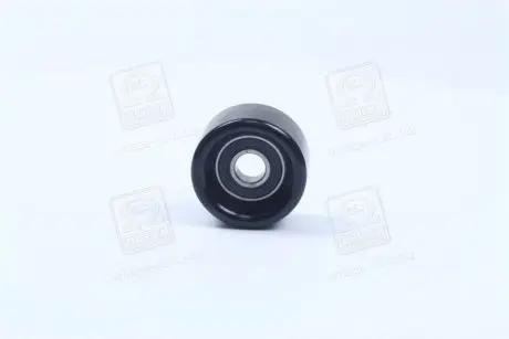 Ролик натяжителя ременя кондиціонера Kia/Hyundai/MOBIS 25282-2G000