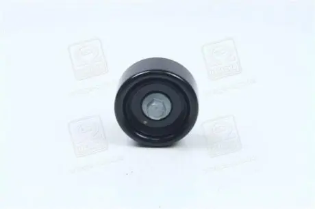 Ролик обвідний Kia/Hyundai/MOBIS 25287-25010