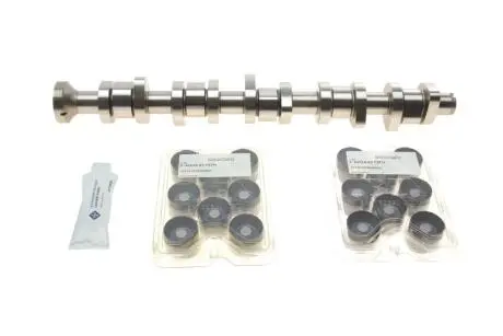 Розподільний вал vw t5 2.5 tdi 03-09, 96/120/128kw, (bnz, axd, bpc, axe, blj) INA 428 0040 30