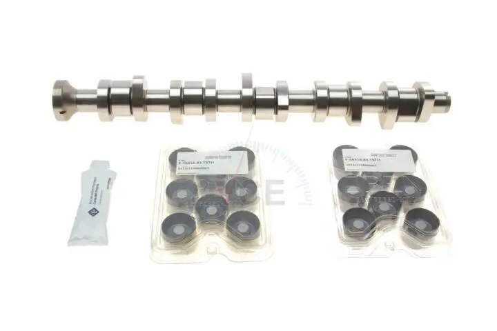 Розподільний вал vw t5 2.5 tdi 03-09, 96/120/128kw, (bnz, axd, bpc, axe, blj) INA 428 0040 30 (фото 1)