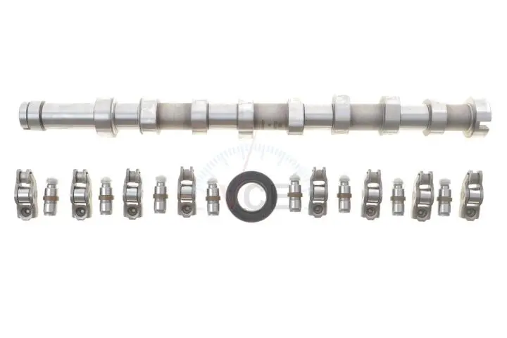 Фото 1 - Комплект распределительного вала с рокерами и компенсаторами ford/psa 1.5/1.6 tdci dv6 (выр-во) INA 428 0056 30 Комплект распределительного вала с рокерами и компенсаторами ford/psa 1.5/1.6 tdci dv6 (выр-во) INA 428 0056 30 (фото 1)