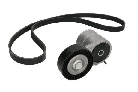 Поликлиновой ременный комплект INA 529 0008 10