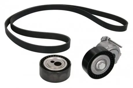 Поликлиновой ременный комплект INA 529 0017 10