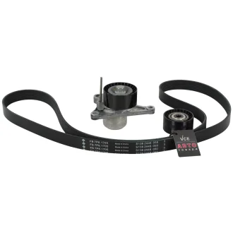 К-т,поликлиновый пас+натяжитель INA 529042310