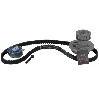 Водяной насос + комплект зубчатого ремня INA 530 0004 32