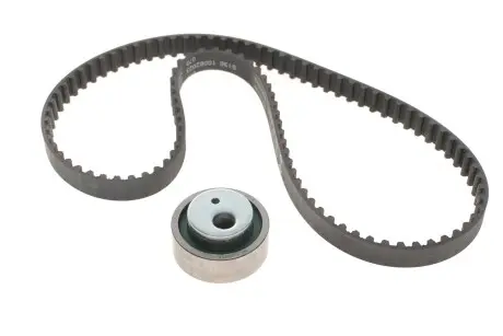 Комплект ремня грм INA 530 0012 10