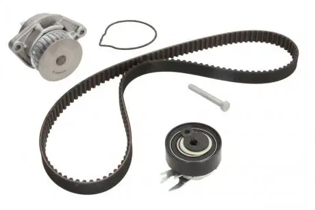 Комплект грм INA 530019930