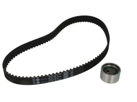 Комплект грм INA 530032310