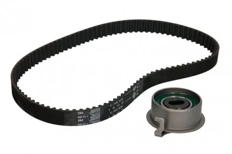 Комплект ременя грм INA 530 0355 10