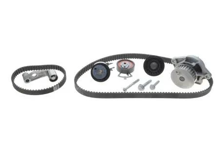 Комплект грм INA 530036030