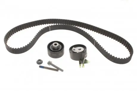 Комплект ремня грм INA 530 0419 10