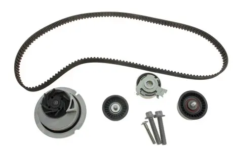 Водяной насос + комплект зубчатого ремня INA 530 0441 31