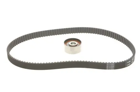 Комплект ремня грм INA 530 0564 10