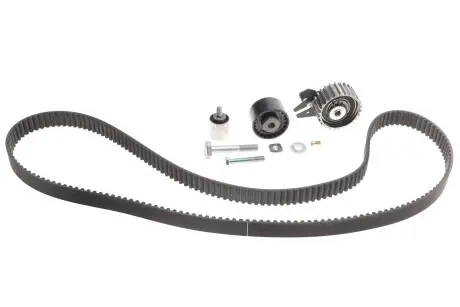 Комплект ремня грм INA 530 0619 10