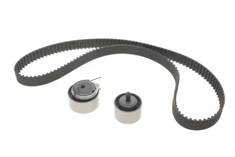 Комплект ремня грм INA 530 0641 10