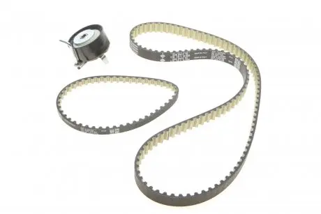 Комплект ремня грм INA 530 0701 10