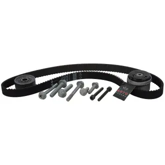 Комплект ремня грм INA 530 0724 10