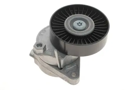 Натяжна планка, полікліновий ремінь INA 534 0114 20