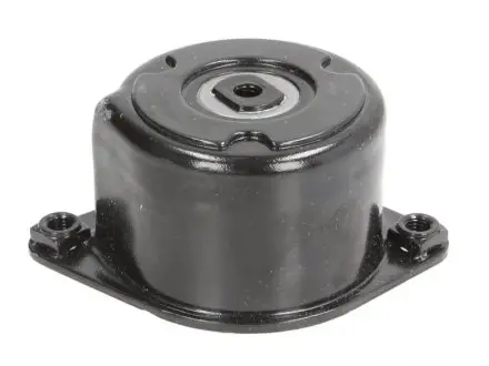 Натяжитель ремня, клиновой зубчая. INA 534 0170 10