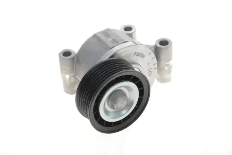 Натяжная планка, поликлиновой ремень INA 534 0249 10