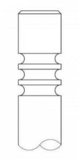 Впускний клапан INTERVALVES 3056.032