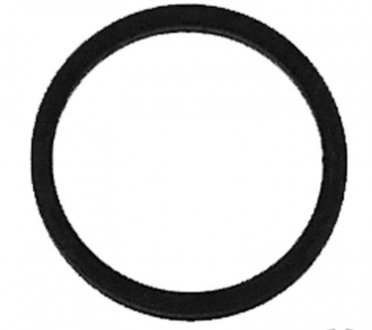 Уплотнительное кольцо, клапанная форсунка. JP GROUP 1115550900 (фото 1)