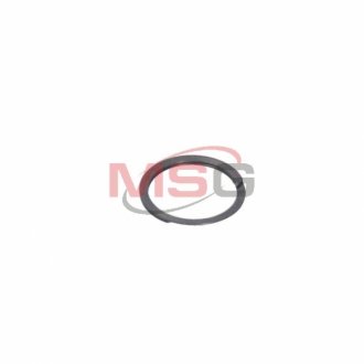 Стопорне кільце (турбіни) Jrone 2020-016-051