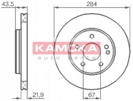 Гальмівні диски KAMOKA 1031176 (фото 1)