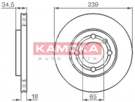 Гальмівні диски KAMOKA 1031624 (фото 1)