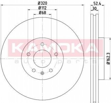 Гальмівні диски KAMOKA 103309 (фото 1)