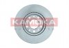 Гальмівні диски KAMOKA 103323 (фото 2)