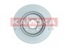 Гальмівні диски KAMOKA 103565 (фото 2)