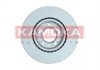 Гальмівні диски KAMOKA 103601 (фото 2)