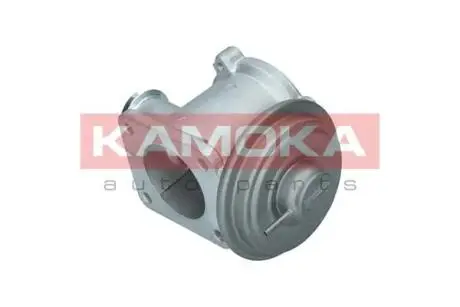 Клапан возврата ог KAMOKA 19062