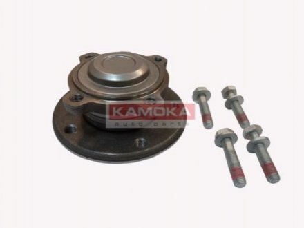 Комплект подшипника ступицы колеса KAMOKA 5500133 (фото 1)