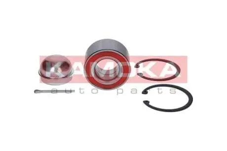 Комплект подшипника ступицы колеса KAMOKA 5600047
