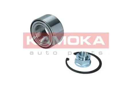 Комплект подшипника ступицы колеса KAMOKA 5600203