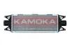 Интеркуллер KAMOKA 7750132 (фото 1)